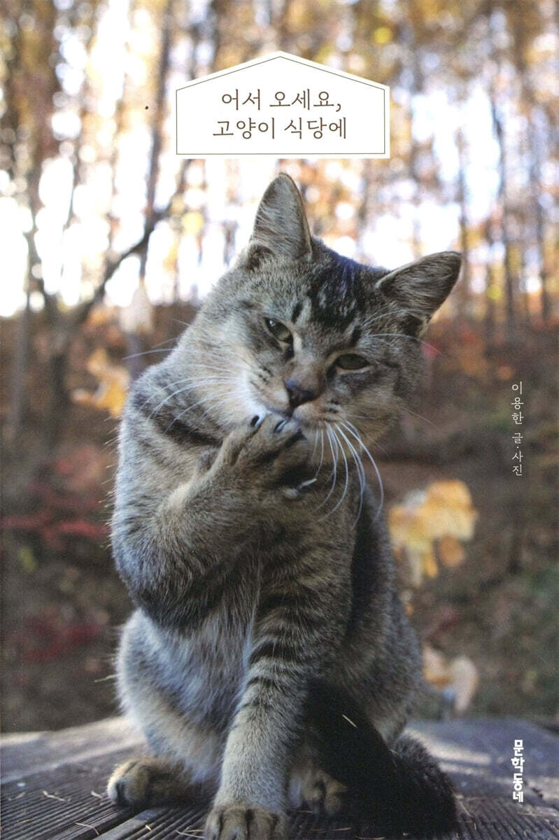 어서 오세요, 고양이 식당에