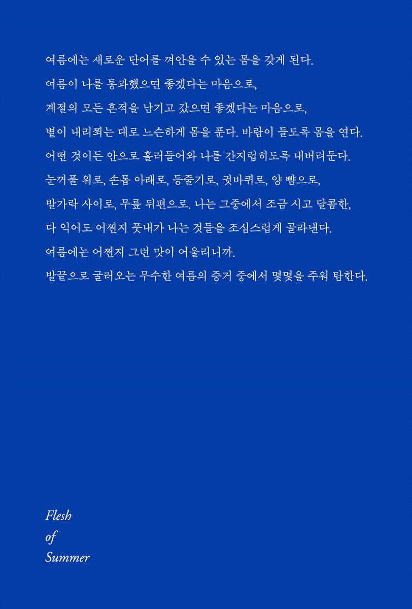 여름의 피부