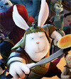 rabbit.jpg