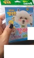 첨부된 사진