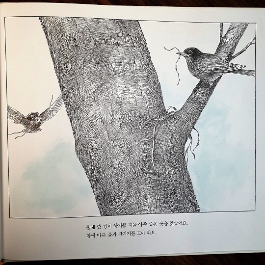 세상에서 가장 포근한 둥지 - YES24