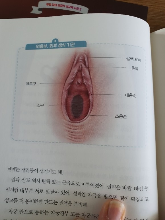 첨부된 사진