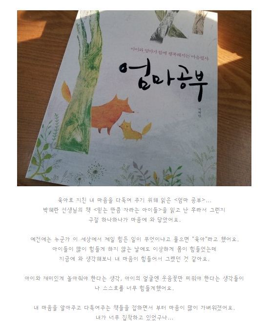 첨부된 사진