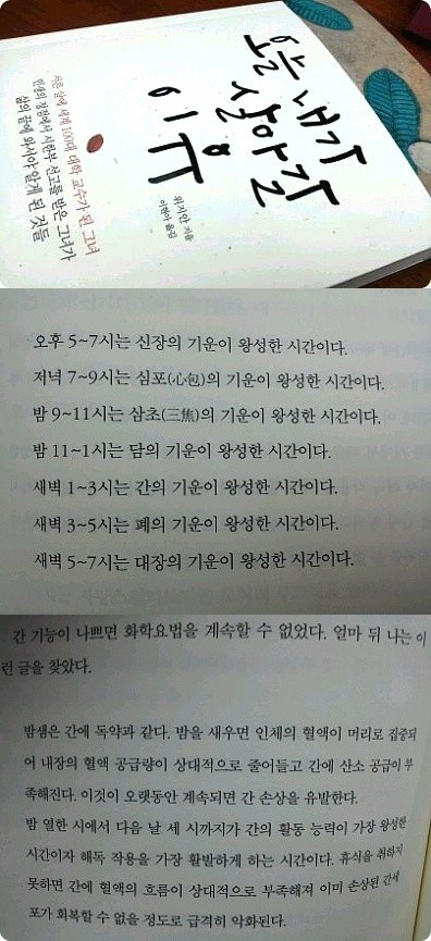 첨부된 사진