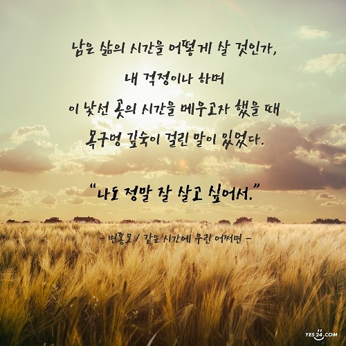 나도 정말 잘 살고 싶어서 | Yes24 블로그 - 내 삶의 쉼표