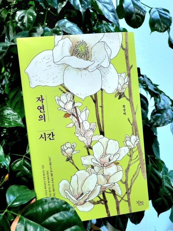 자연의 시간 - YES24