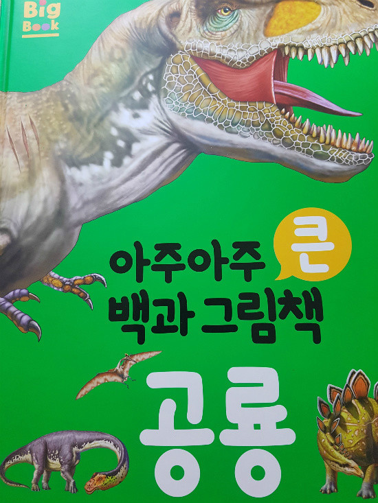 첨부된 사진