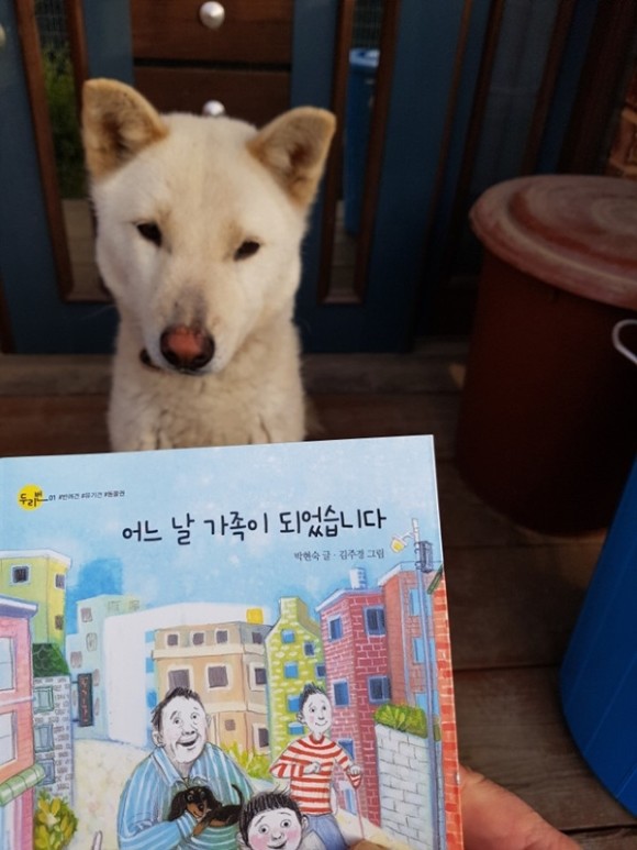 첨부된 사진