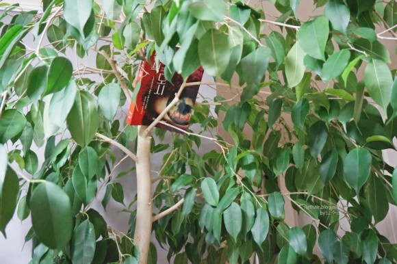 첨부된 사진