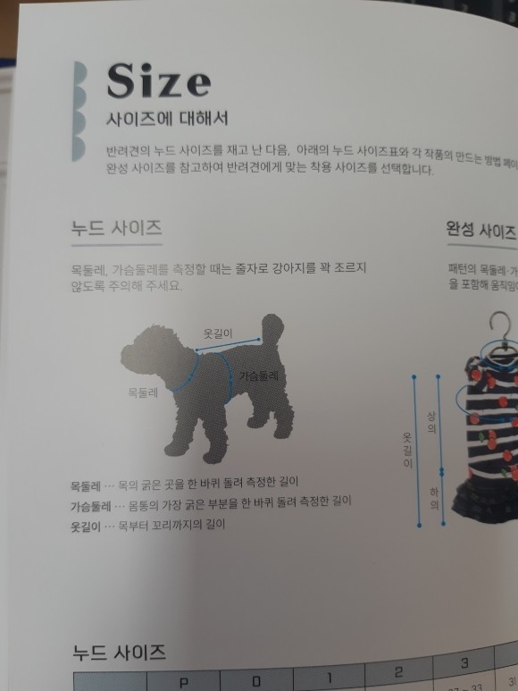 첨부된 사진