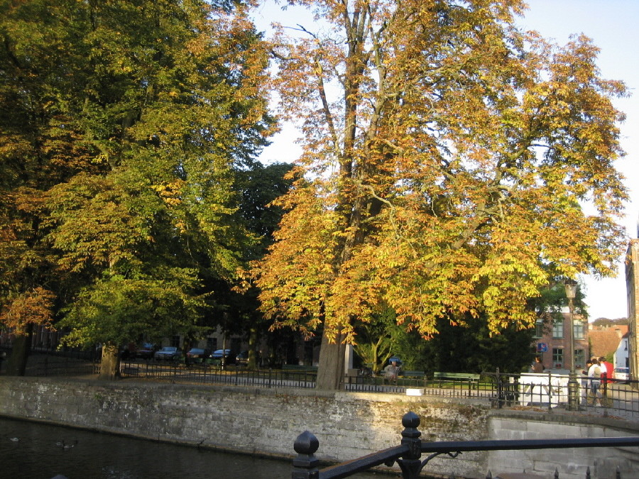 유럽의 가을풍경 | Yes24 블로그 - 내 삶의 쉼표