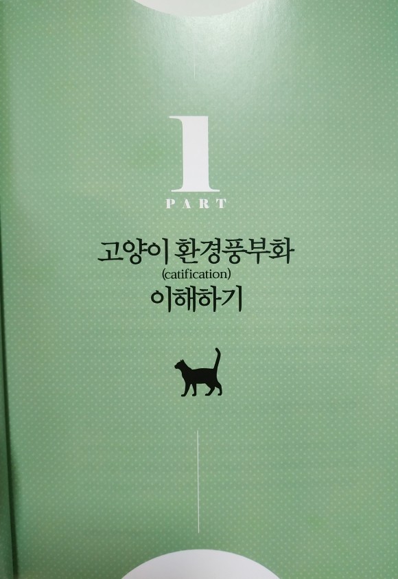 고양이가 머물고 싶은 집 도서 리뷰 : 인간과 고양이 모두가 행복한 공간을 위하여 | Yes24 블로그 - 내 삶의 쉼표