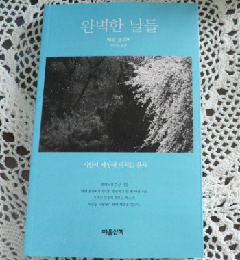 완벽한 날들 도서 리뷰 : 메리 올리버의 글을 처음 읽다. | Yes24 블로그 - 내 삶의 쉼표