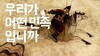 첨부된 사진