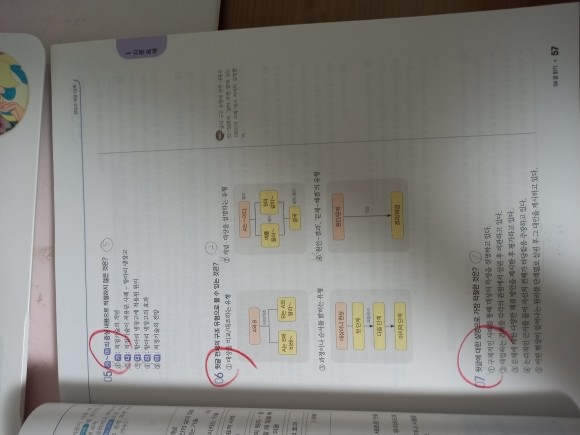 첨부된 사진