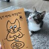 첨부된 사진