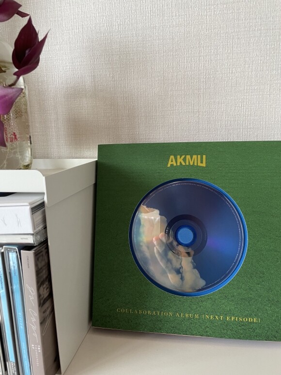 AKMU Next Episode LP レコード 悪童ミュージシャン (AKMU) / AKMU COLLABORATION ALBUM［NEXT