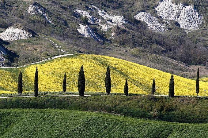 Tuscany의 멋진 가을 풍경 (1) | Yes24 블로그 - 내 삶의 쉼표