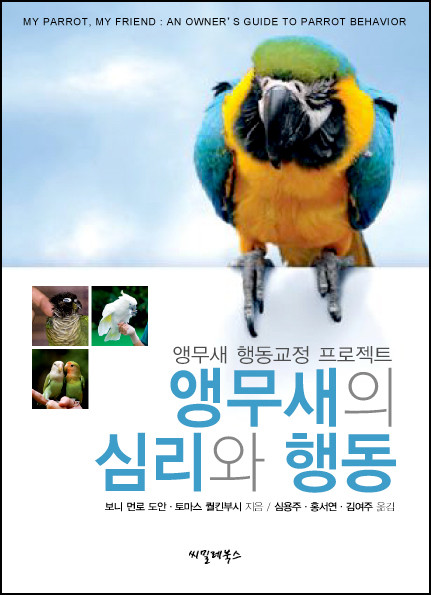 앵무새의 심리와 행동:앵무새 행동교정 프로젝트 | YES24 블로그
