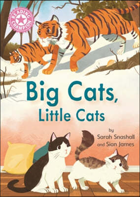 Reading Champion: Big Cats, Little Cats