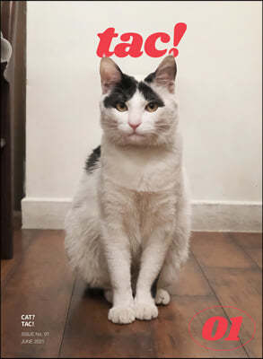 매거진 탁 magazine tac! : 집과 고양이 