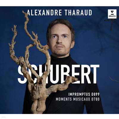 Alexandre Tharaud 슈베르트: 즉흥곡, 악흥의 순간 - 알렉상드르 타로 (Schubert: Impromptus, Moments musicaux) 