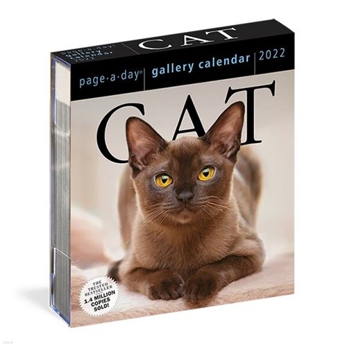2022 갤러리캘린더 Cat