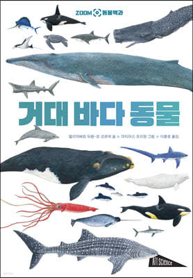 ZOOM 동물 백과 : 거대 바다 동물