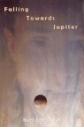 The Falling Towards Jupiter