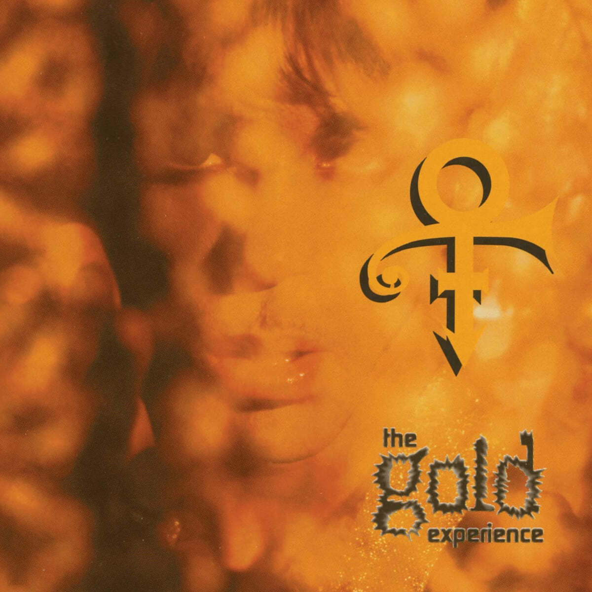 Prince (프린스) - The Gold Experience 