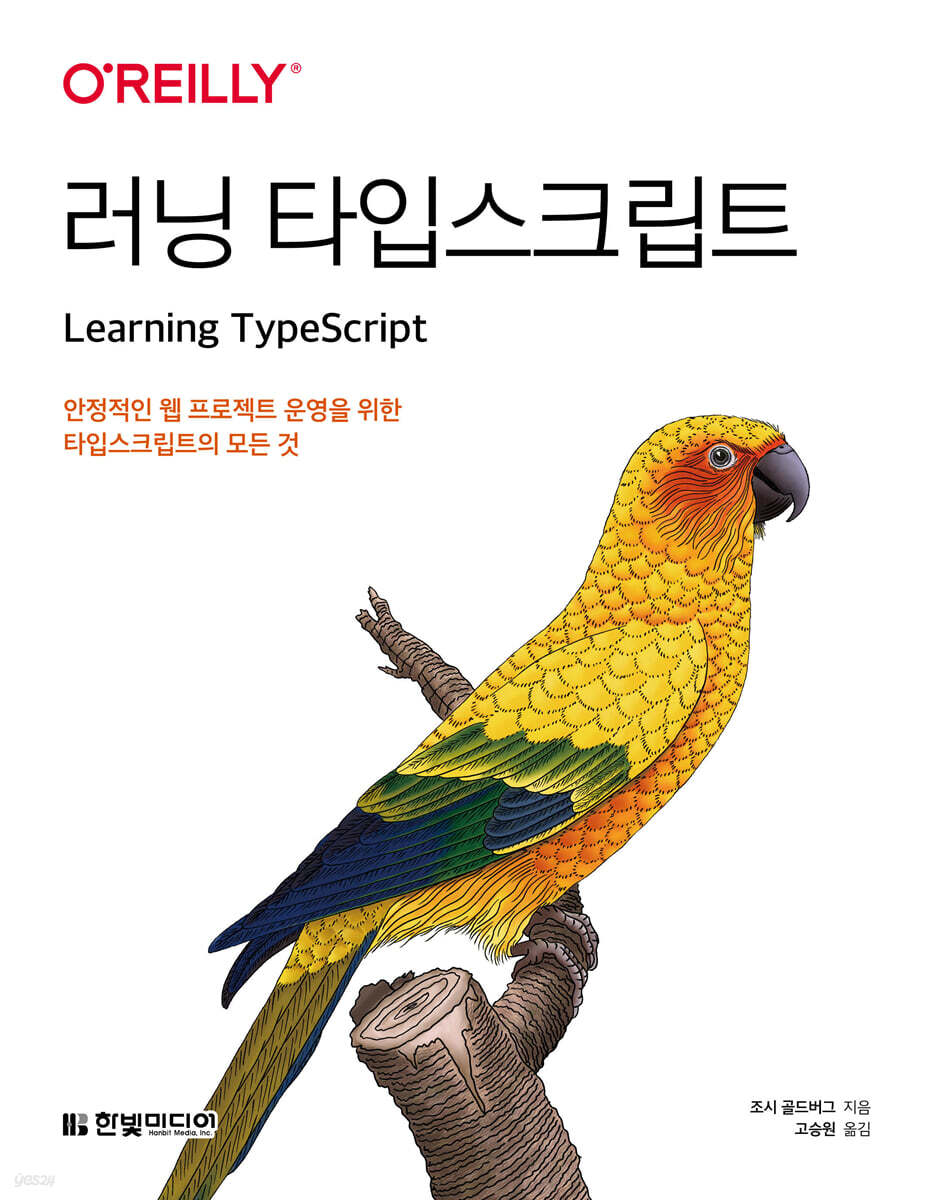 learning-typescript