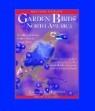 Garden Birds of America