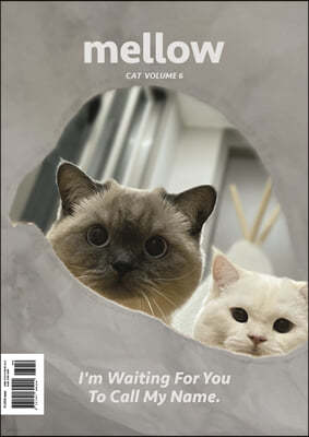 Mellow cat volume 6 멜로우매거진 [2023]