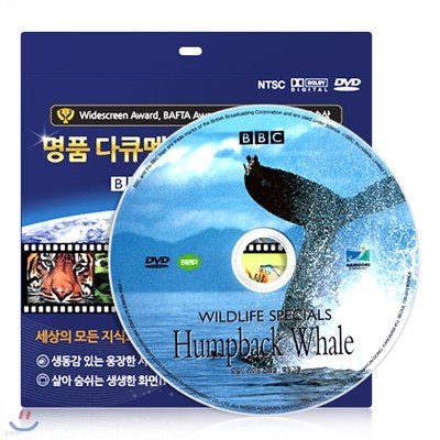 [BBC 다큐멘터리] 와일드라이프 스폐셜 - 혹등고래 DVD / 초슬림케이스 / 영,한 더빙 / 영한 자막