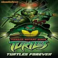 Teenage Mutant Ninja Turtles: Turtles Forever (���� �ź���) (�����ڵ�1)(�ѱ۹��ڸ�)(DVD) (2010)