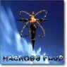 Macross Plus 2 (��ũ�ν� �÷��� 2) O.S.T (VICL571)