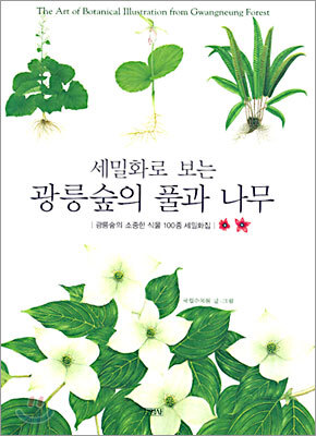 ȭ   Ǯ    Ĺ 100 ȭ