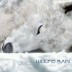 Wolf's Rain (������ ����) OST