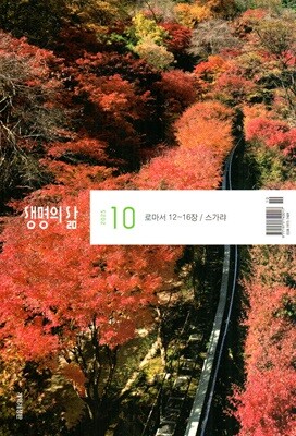    () : 10 [2025]
