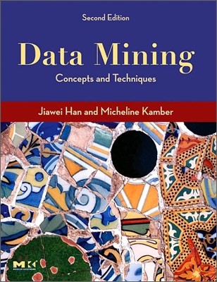 Data Mining : Concepts and Techniques, 2/E