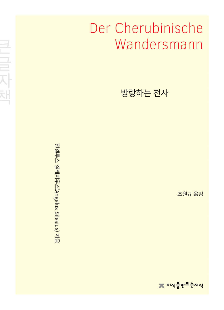 지식을만드는지식(지만지) 방랑하는 천사 (큰글씨책)