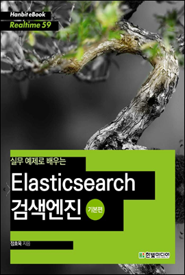 실무 예제로 배우는 Elasticsearch 검색엔진 (기본편) - Hanbit eBook Realtime 59