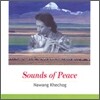 Nawang Khechog (���� ����) - Sounds of Peace