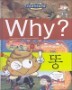 Why? ���� ��