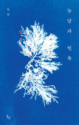 ���� ����