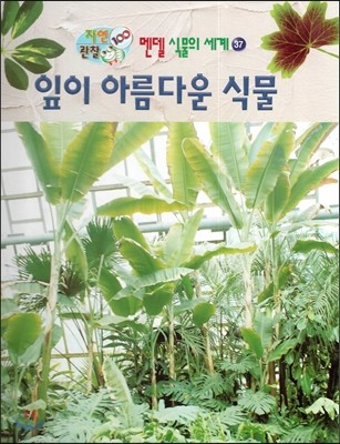 도서출판세종 잎이 아름다운 식물 (자연관찰 100 멘델 식물의 세계 37)