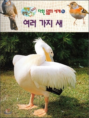 도서출판세종 여러 가지 새 (자연관찰 100 다윈 동물의 세계 23)