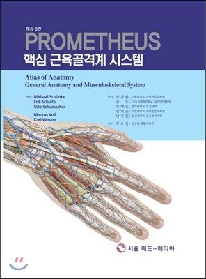 서울메드-메디아 PROMETHEUS 핵심 근육골격계 시스템