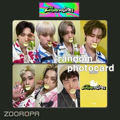 [새상품/T 포토카드/랜덤] 트렌드지 TRENDZ Chameleon (정품/점프업)