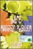 Ƽ������ (T-Square) Live Passion Flower